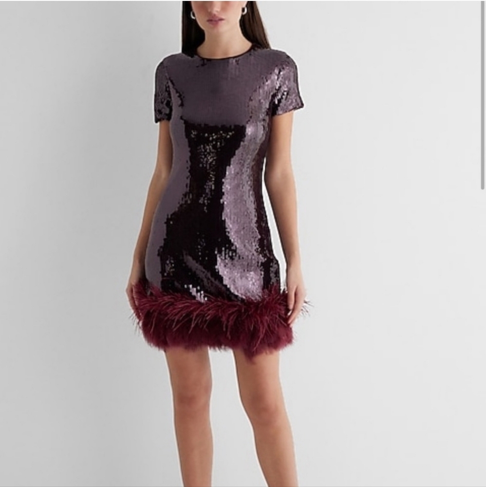 Express Sequin and Feather Trim Dress - Wine